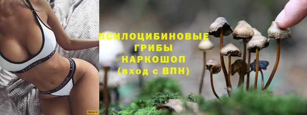 прущая мука Алзамай