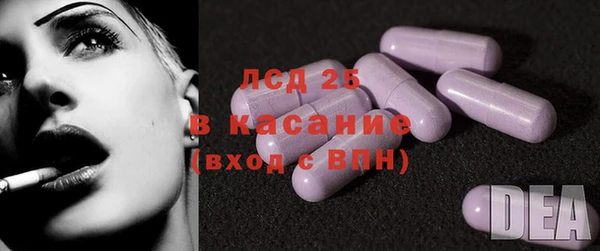 гидра Алексеевка