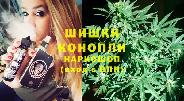 гидра Алексеевка