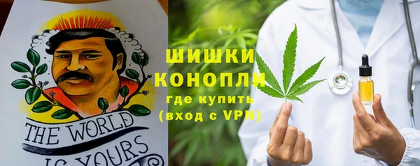 гидра Алексеевка