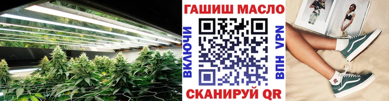 omg онион  Лукоянов  ТГК жижа  наркотики 