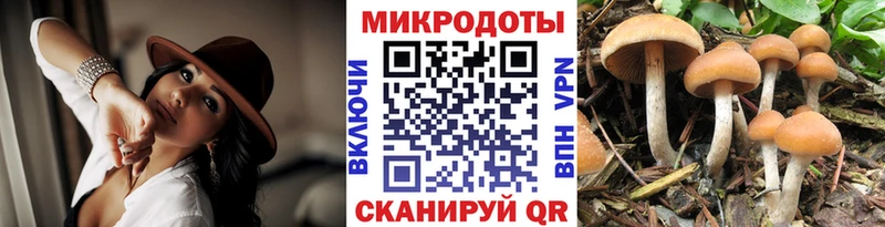 hydra зеркало  Лукоянов  Псилоцибиновые грибы ЛСД 